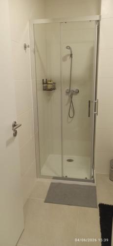 a shower with a glass door in a bathroom at T1 Luxgarden in Lamego