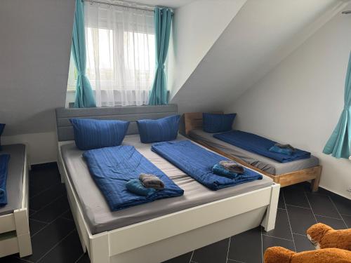 two twin beds in a room with blue pillows at Casa Kovacs in Herbolzheim