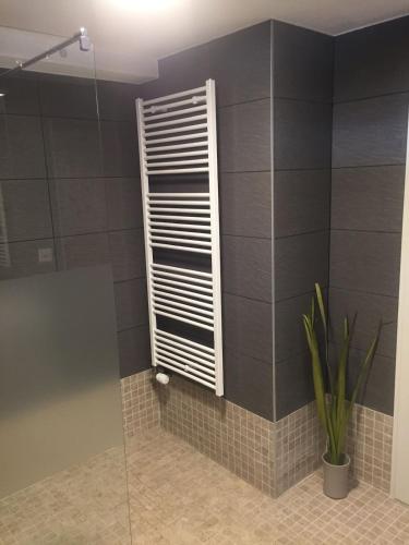 a bathroom with a shower with a vent and a plant at Cozy chalet with panoramic views in Leysin in Leysin