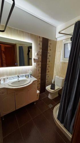 a bathroom with a sink and a toilet and a mirror at Nefeli Boutique Hotel in Agios Kirykos