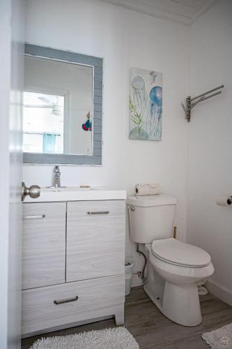 a bathroom with a toilet and a sink and a mirror at The Sands Hotel in Cockburn Town