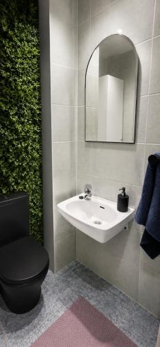 a bathroom with a sink and a toilet and a mirror at Spacious apartment with balcony in Tallinn