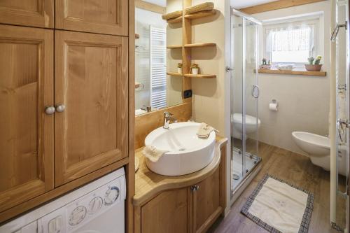 a bathroom with a sink and a glass shower at CiasaToa in Cortina dʼAmpezzo