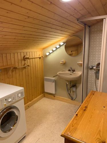 a small bathroom with a washing machine and a sink at Chalet Castor in Les Diablerets