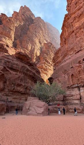 a group of people standing in front of a mountain at وادي رم in Disah