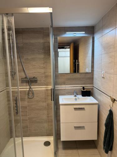 a bathroom with a shower and a sink at Hygge Pržno in Pržno