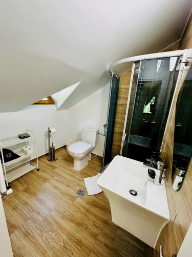 a bathroom with a white sink and a toilet at Casa Rogin in Buhalniţa