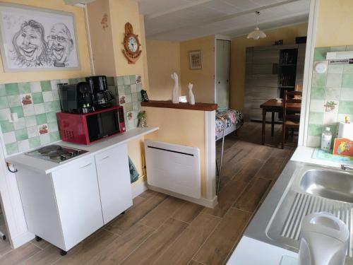a small kitchen with a sink and a microwave at Studio chez Fred et Angela in Saint-Dizier