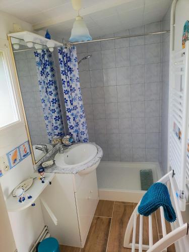 a small bathroom with a sink and a shower at Studio chez Fred et Angela in Saint-Dizier