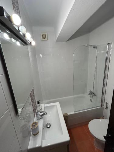 a bathroom with a sink and a shower and a toilet at Corazón de Nerja in Nerja
