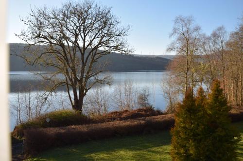 Naturlandschaft in der Nähe der Pension
