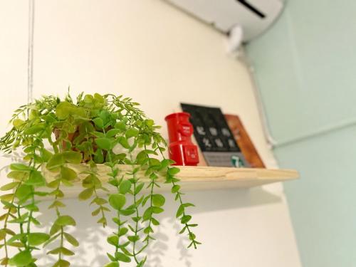 a plant sitting next to a remote control on a shelf at 巷弄內的老宅27 in Pingtung City