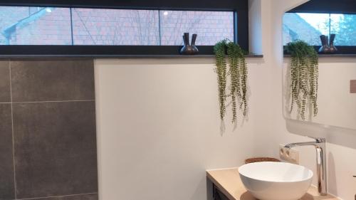 Kúpeľňa v ubytovaní De Eik gastenverblijf op de grens met Brugge