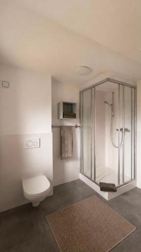 a bathroom with a shower and a toilet at Haus Linn in Ehrwald