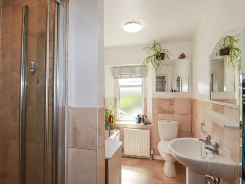 a bathroom with a toilet and a sink and a shower at Tin Lantern Cottage in Redruth