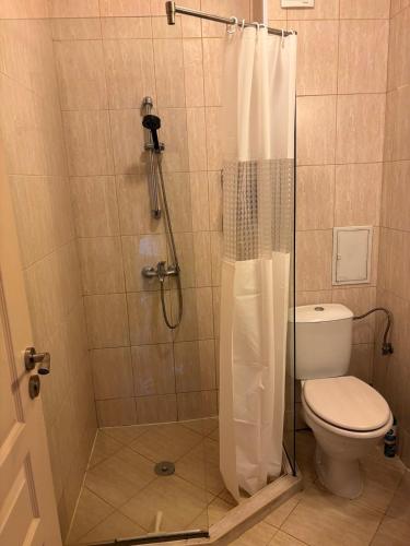 a bathroom with a shower with a toilet and a shower curtain at Messembria Palace Bulgaria in Sunny Beach