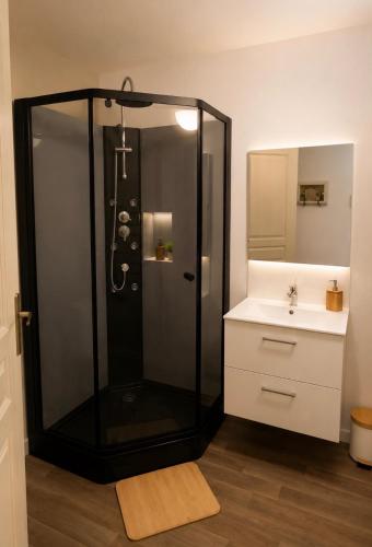 a bathroom with a shower and a sink at le Logis d'Argenson in Beaulieu-sous-Parthenay