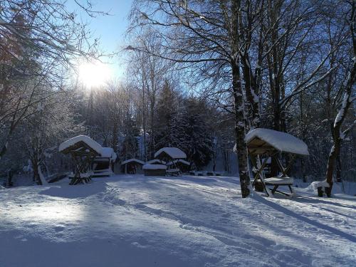 Harzhaus Schneewittchen im Winter