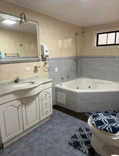 a bathroom with a tub and a sink and a toilet at Casa Costanera in Panguipulli
