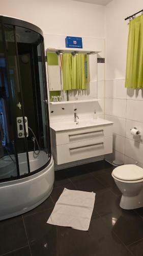 a bathroom with a shower and a sink and a toilet at Apartman i Studio apartman Majoli in Kukuljanovo