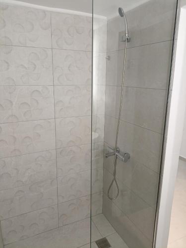 a bathroom with a shower with a glass door at Gatos Beach in Pefkochori
