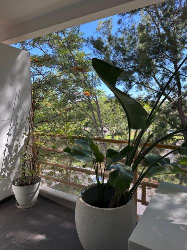 Vilamoura sun retreat
