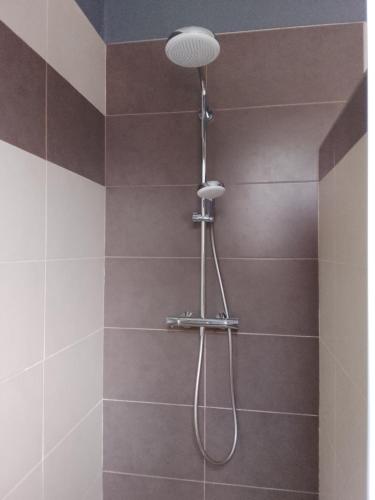 a shower with a shower head in a bathroom at VILLA Douce Loue in Ornans