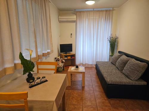 Family Apartments Suzi