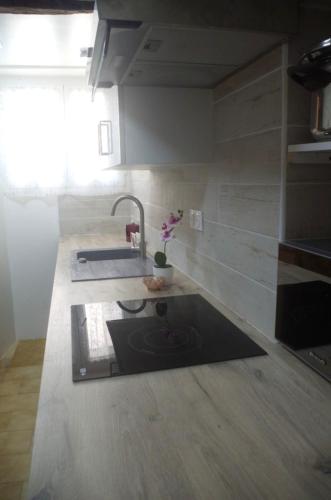 a kitchen with two sinks in a room at Charmant appartement climatisé en plein coeur du village et proche des plages avec wifi in Cervione