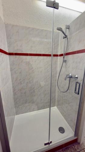 a shower with a glass door in a bathroom at Central Apartments Hof in Hof