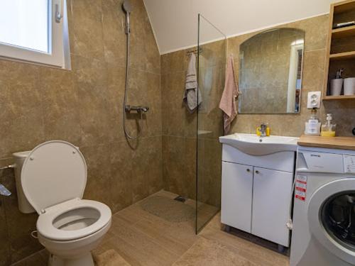 a bathroom with a shower and a toilet and a sink at Cottage by the brook in Plužine