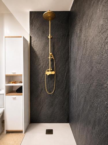 a shower in a bathroom with a black wall at César Room - Appartement Antique 2-3 pers, parking privé,proche centre et gare in Obernai
