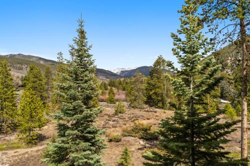 a group of trees in a field with mountains in the background at Pines #2071 : 2 in Keystone