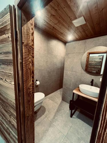 a bathroom with a toilet and a sink and a mirror at Nest Lodge in Weissbriach