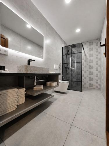 a bathroom with a sink and a toilet and a shower at Apartments and Rooms Villa Majestic in Bihać