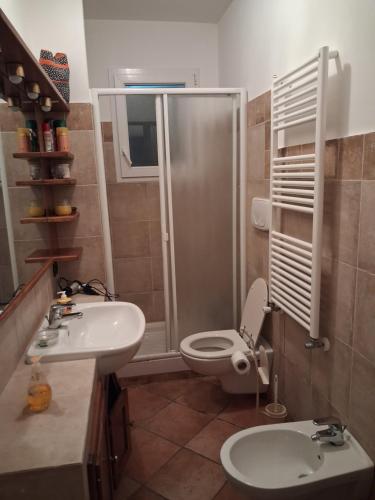 a bathroom with a shower and a toilet and a sink at Natura e relax in Anzo