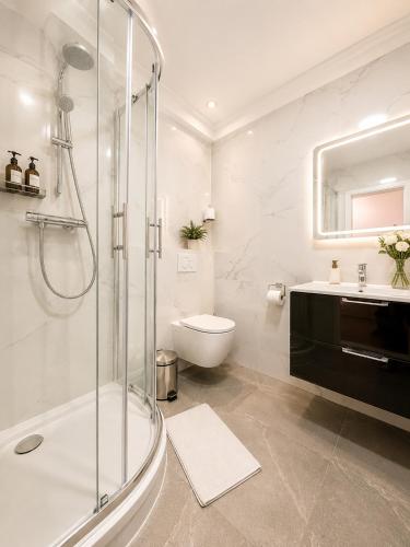 a bathroom with a shower and a toilet and a sink at Stendaler Apartments in Stendal