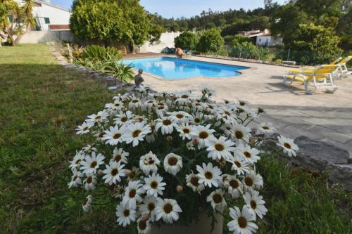 a bunch of white flowers next to a swimming pool at Casa do Sol Wellness Villa in Óbidos