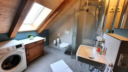 a bathroom with a washing machine and a sink at Ferienwohnung Blauregen - NEU ab März 2026 in Hohnstein