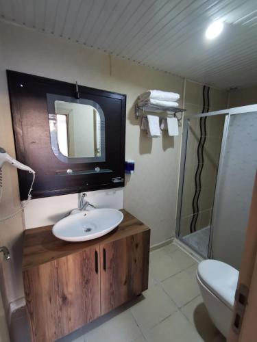a bathroom with a sink and a mirror and a shower at Şirince otel in Amasya
