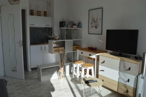Appartement Studio cabine PORT CAMARGUE PC270-329