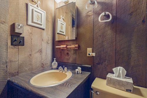 a bathroom with a sink and a toilet at Log Ski Lodge in Wilmington