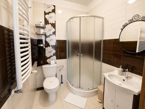 a bathroom with a shower and a toilet and a sink at Willa Kapitańska i Willa Marynarska in Łeba