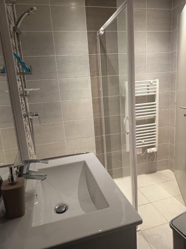 a bathroom with a sink and a shower at Charmant T2 Cosy - Sous les toits in Luxeuil-les-Bains