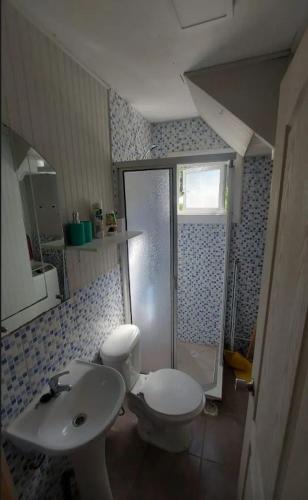 a bathroom with a toilet and a sink and a shower at Sendero de Luna in Valdivia
