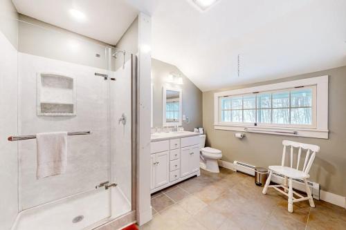 a bathroom with a shower and a toilet and a sink at The Cave Inn in Bomoseen