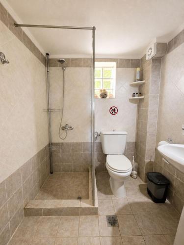 a bathroom with a shower and a toilet and a sink at SunsetApartment in Siviri