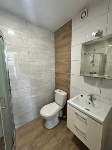 a bathroom with a toilet and a sink at Królewska Przystań in Kamienica Królewska