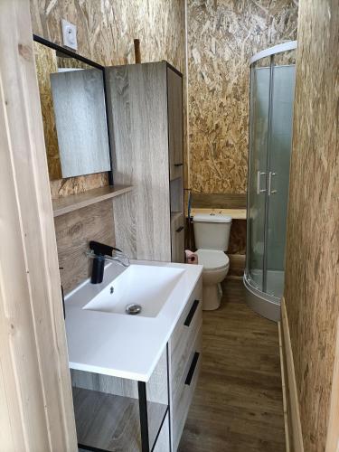 a bathroom with a white sink and a toilet at La cabane des jours heureux in Saint-Laurent-de-Carnols