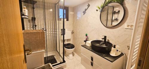 a bathroom with a shower and a sink and a mirror at Elis in Hrašćina